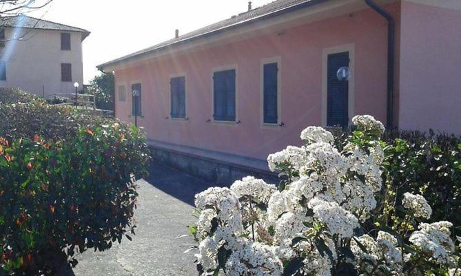 Locanda Agrogallo Carro Eksteriør bilde